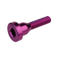 Śruba do kapsla sterów BURGTEC Top Cap ­Bolt - Purple Rain