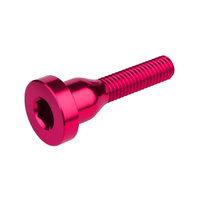 Śruba do kapsla sterów BURGTEC Top Cap Bolt - Toxic Barbie