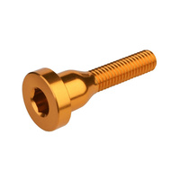 Śruba do kapsla sterów BURGTEC Top Cap ­Bolt - Burgtec Bullion Gold